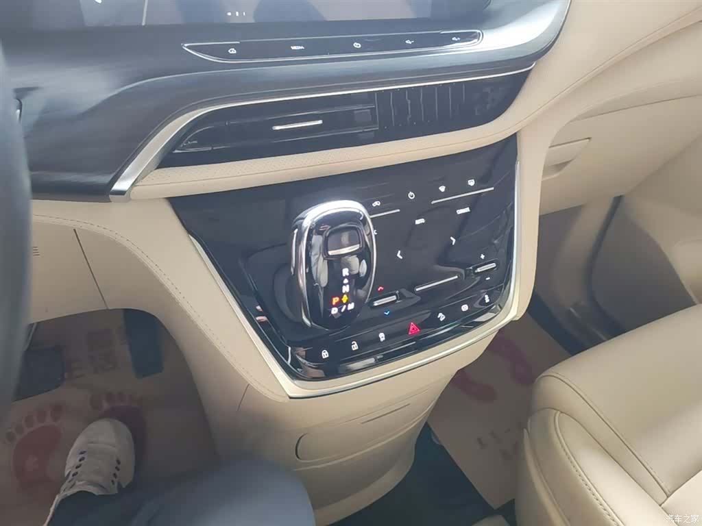 Buick GL8, 2021 14