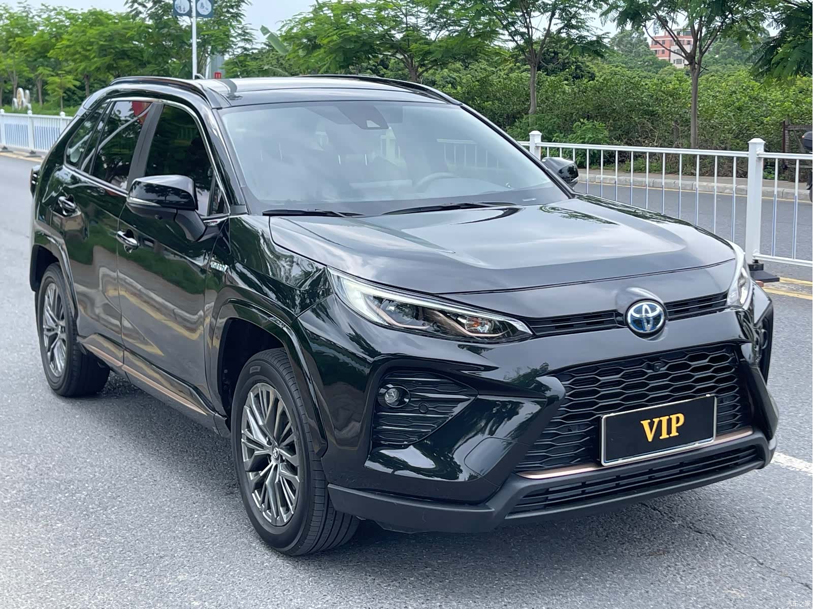 Toyota Wildlander, 2024 3