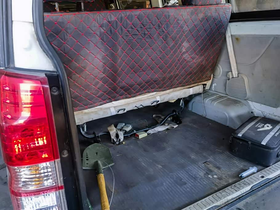 Shineray  Little Sea Lion EV