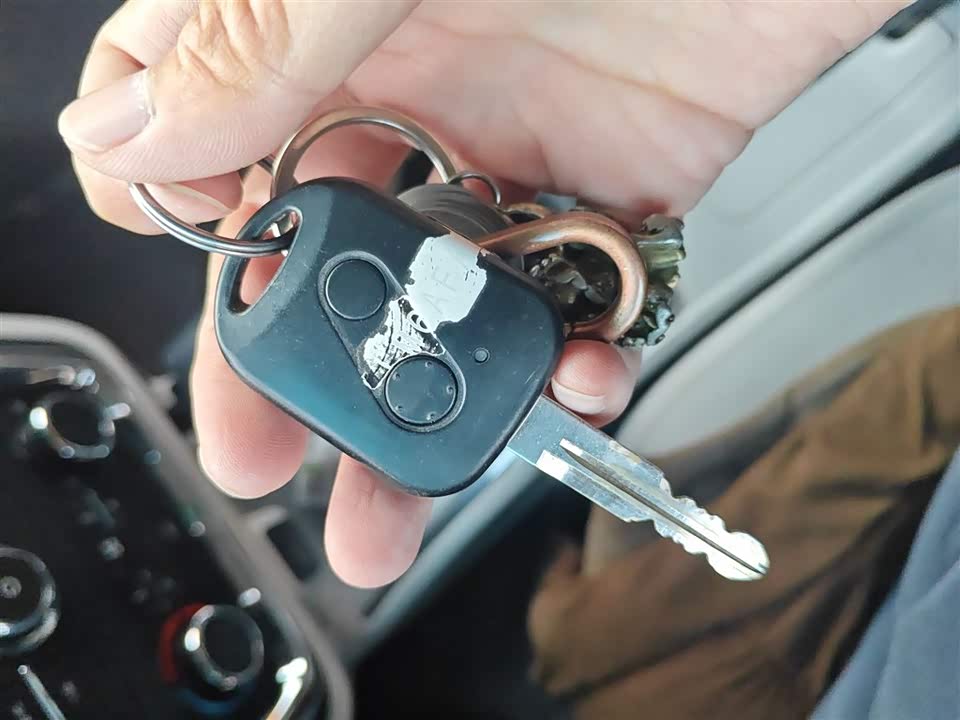 Jinbei New Sea Lion X30L