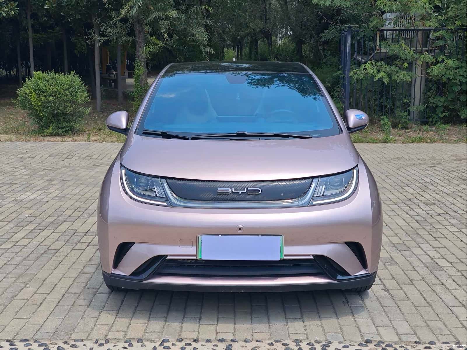 BYD Dolphin, 2024 3