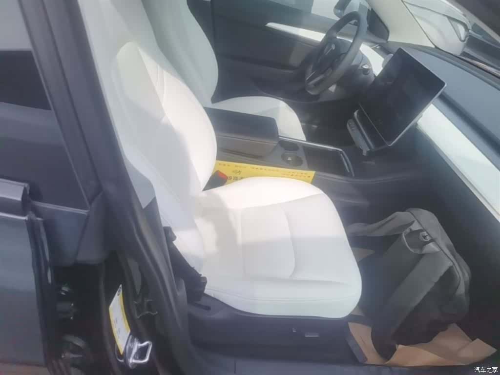 Tesla Model 3, 2021 25