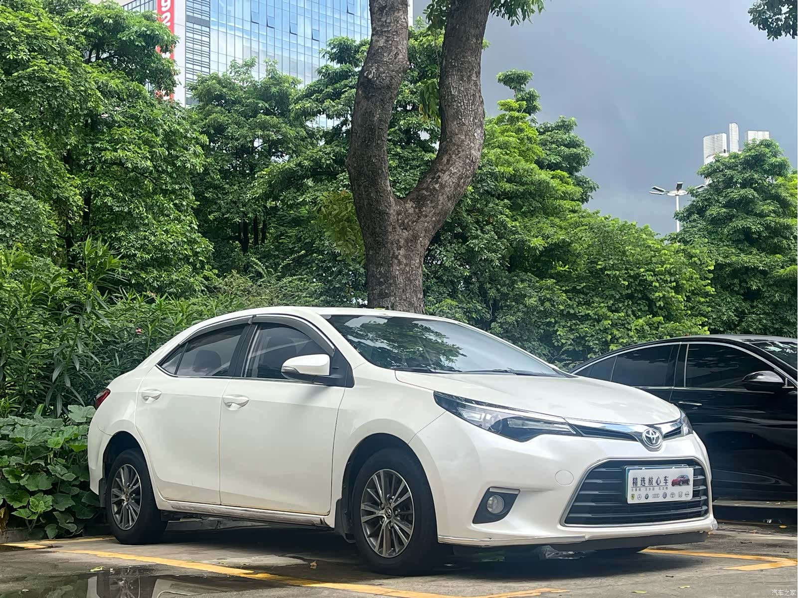 Toyota Levin, 2017 3
