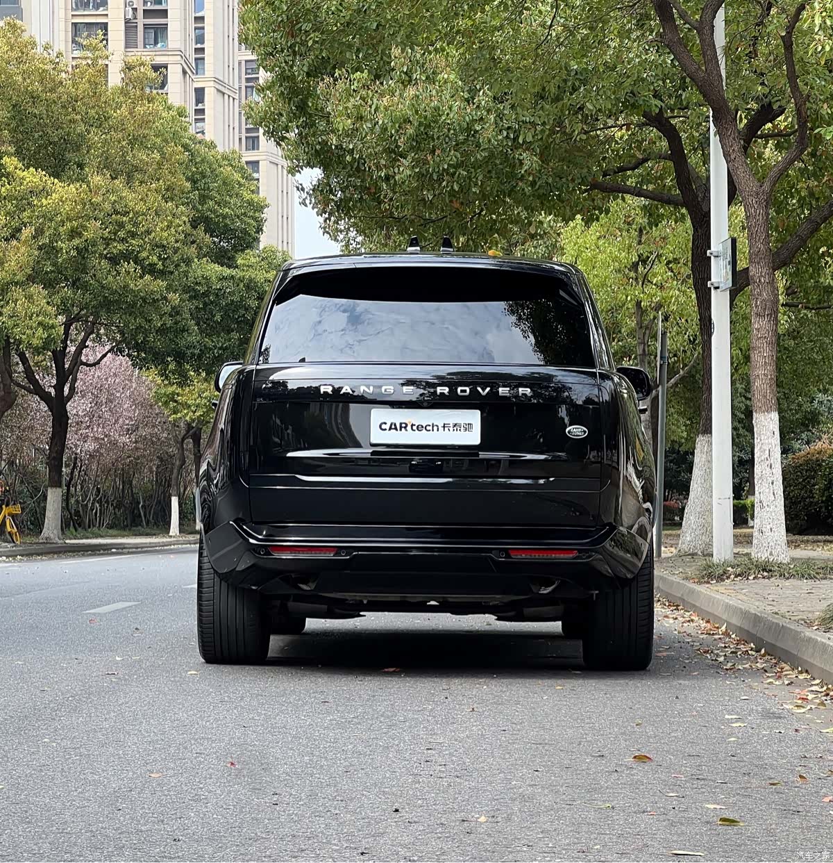 Land Rover Range Rover, 2024 все фото