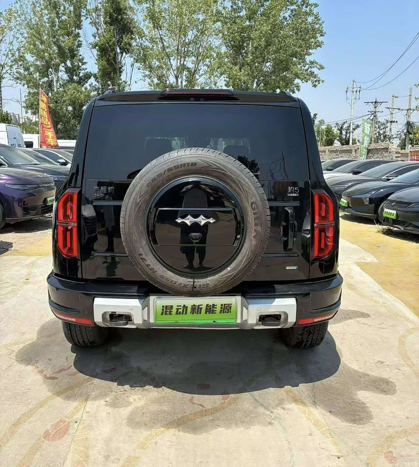 Fang Cheng Bao Bao 5, 2025 8