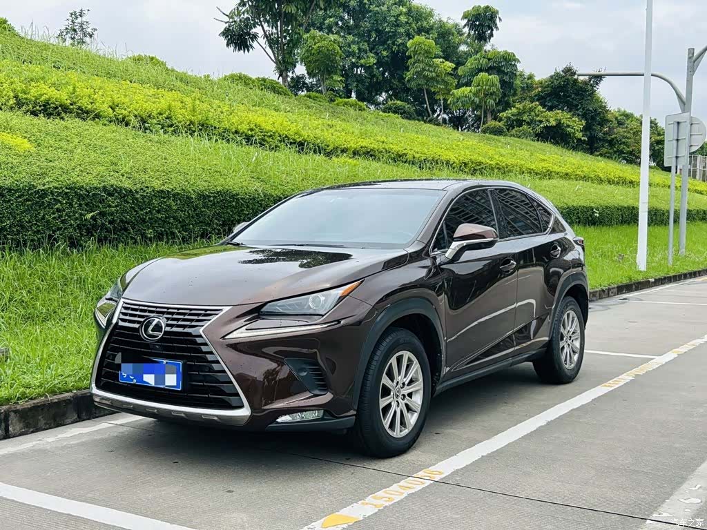 Lexus NX, 2018 1
