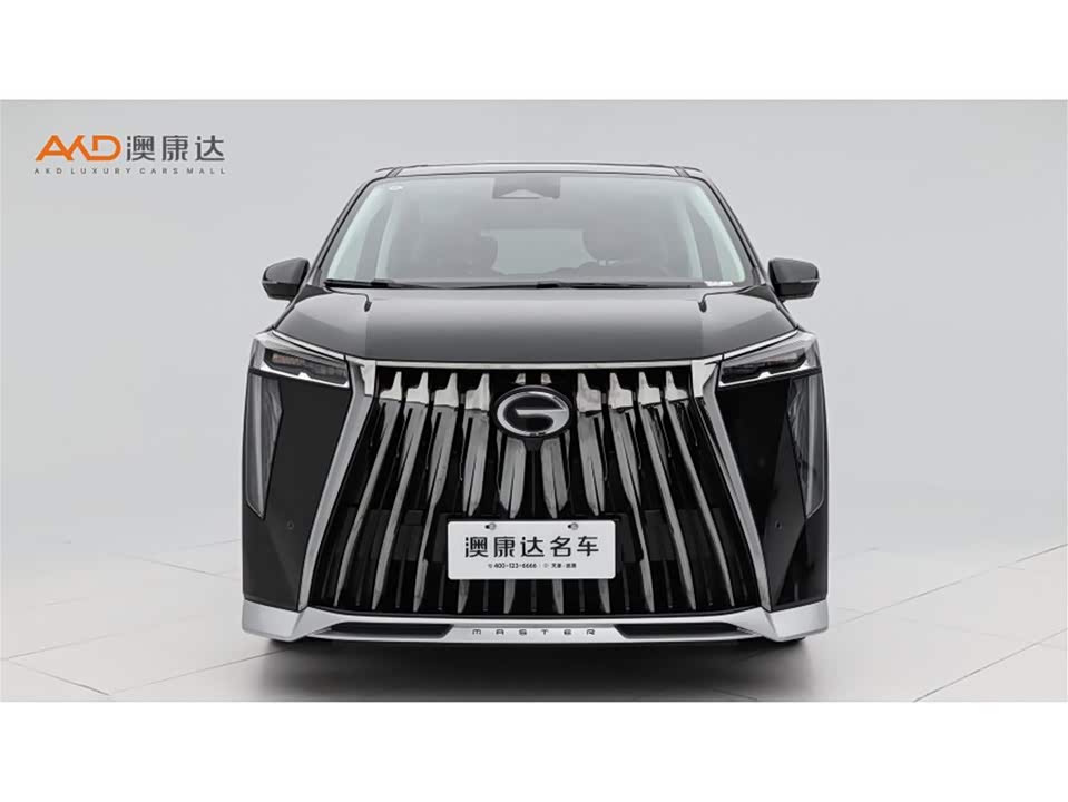 Trumpchi Trumpchi E9