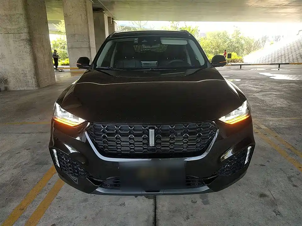 Weipai VV6