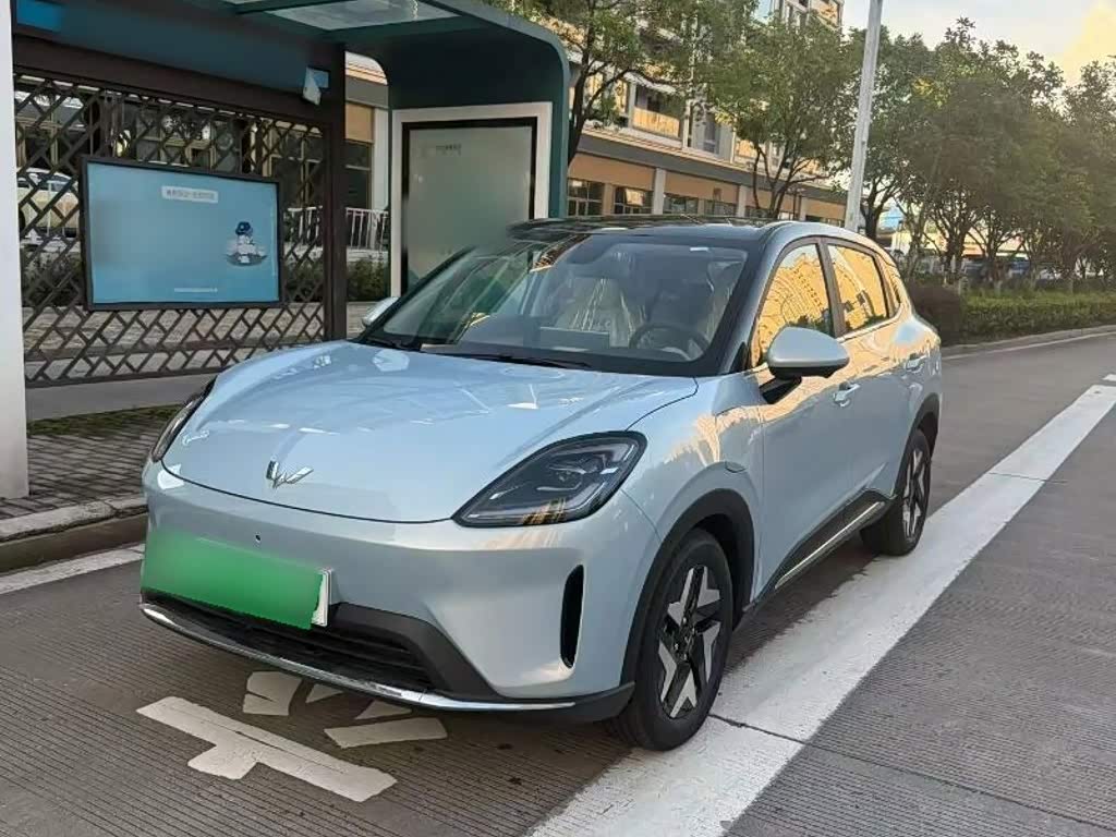 Wuling BinguoS S 2025 430km Flagship