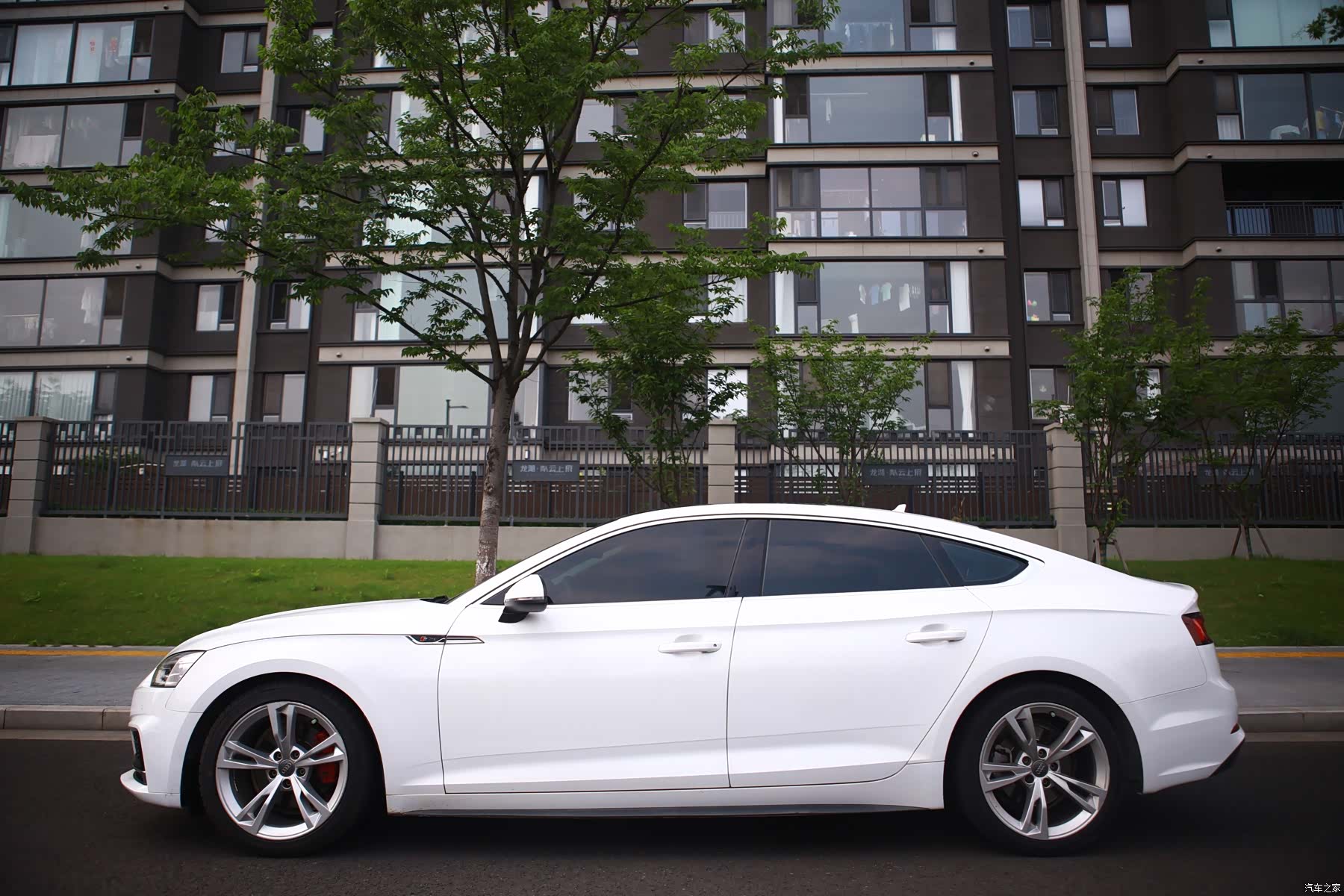 Audi A5, 2020 4