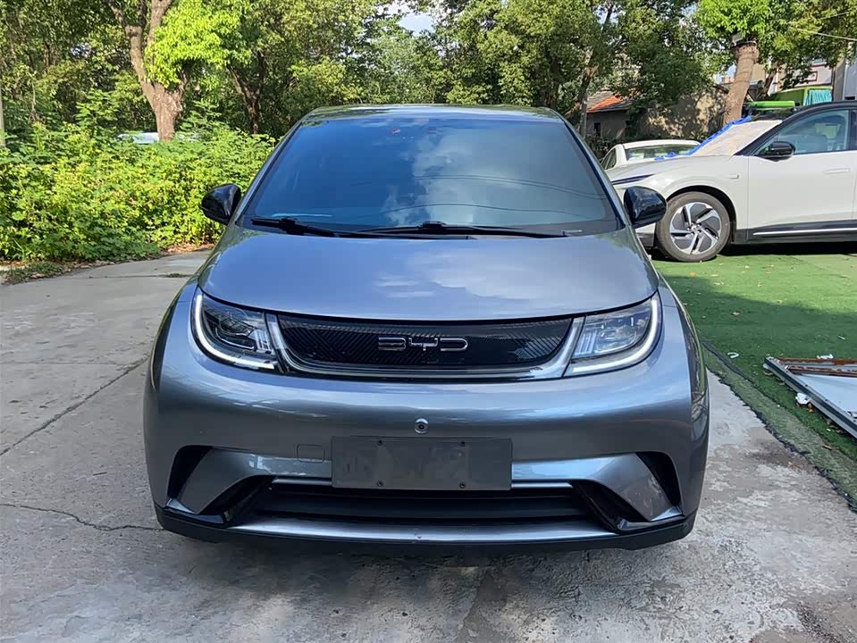 BYD dolphin BYD dolphin