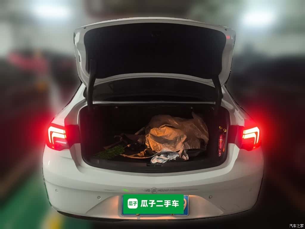 Buick Regal, 2019 10