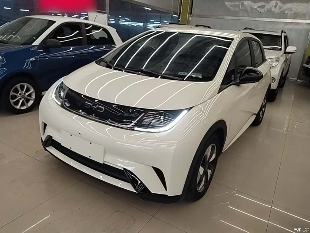 BYD Dolphin, 2024 2