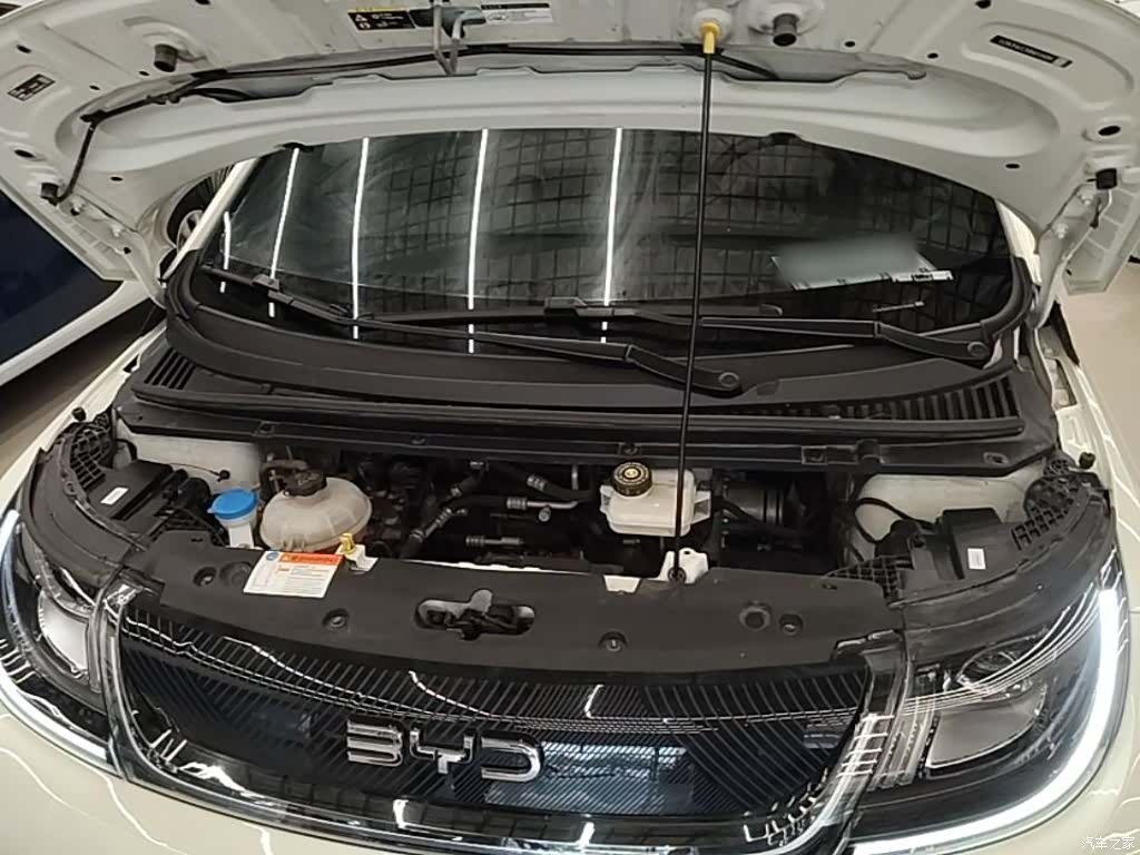 BYD Dolphin, 2024 20