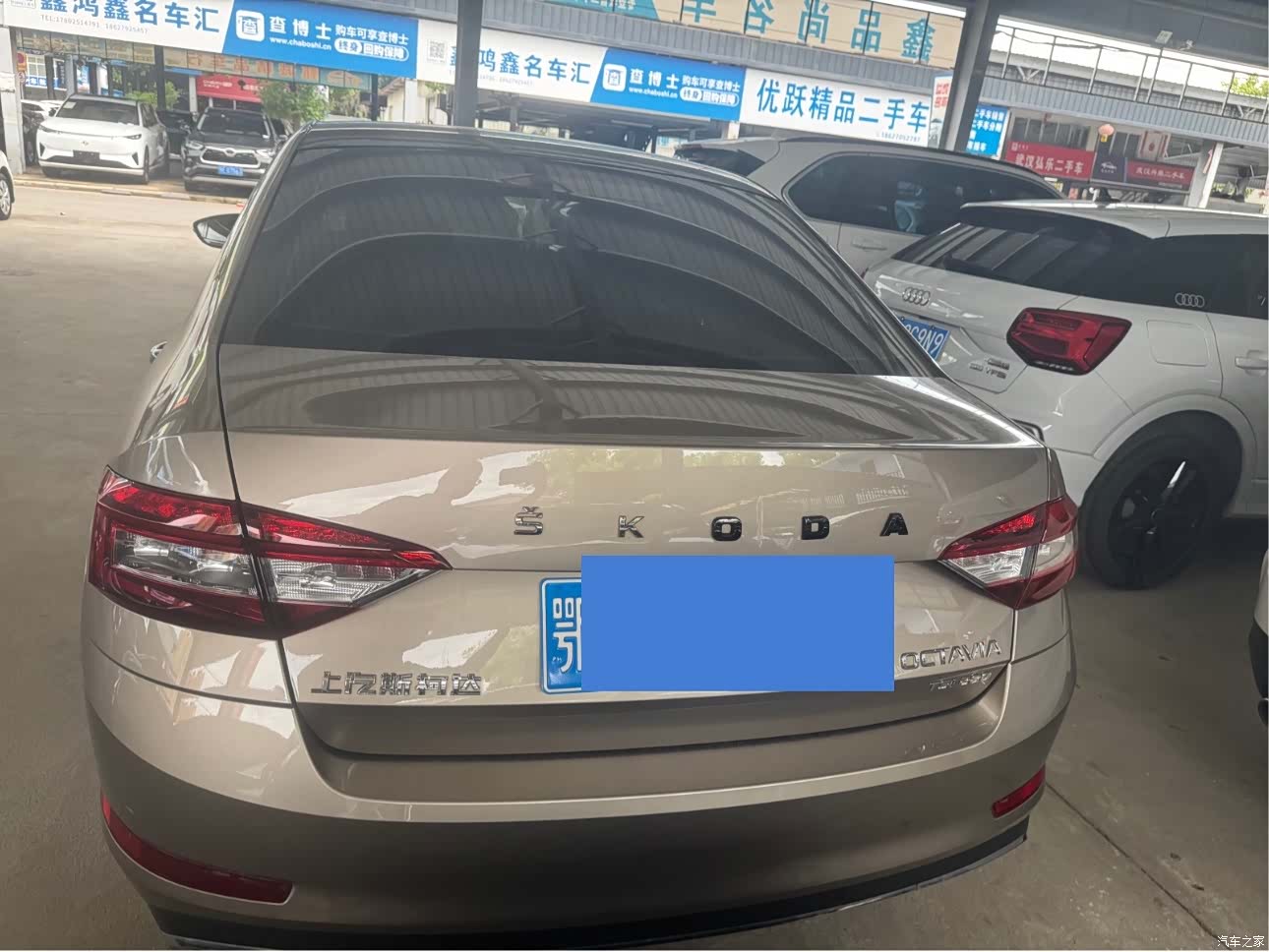Skoda Octavia, 2019 12