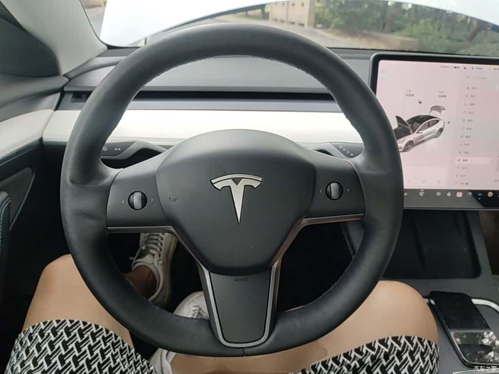 Tesla Model 3, 2021 11