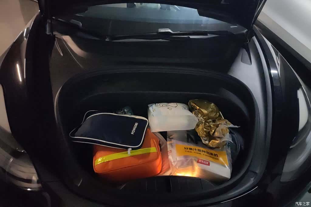 Tesla Model 3, 2021 10