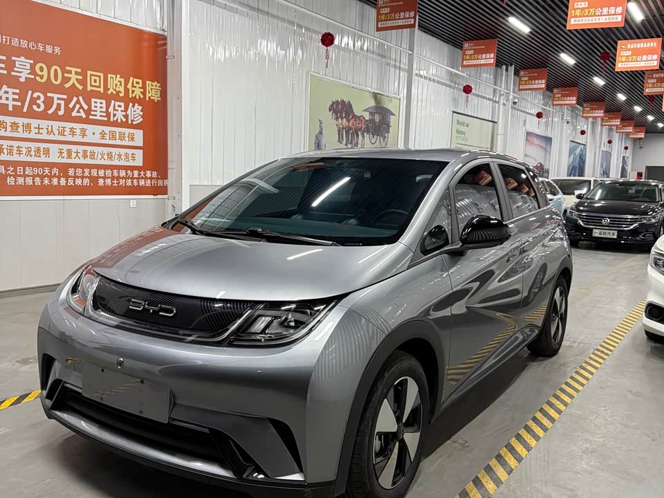 BYD dolphin