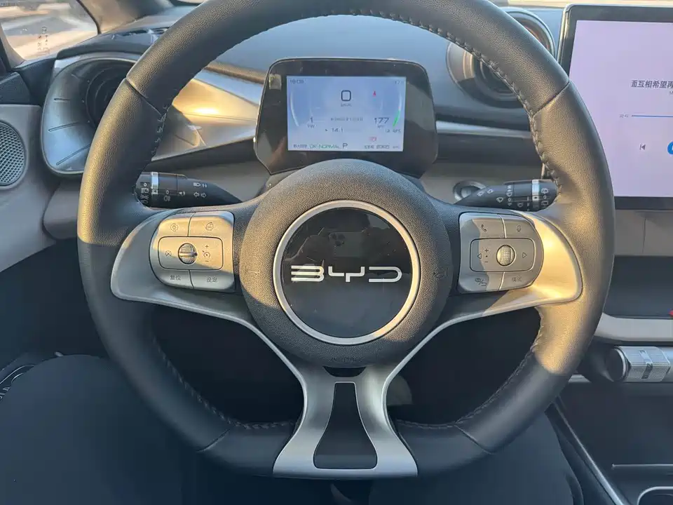 BYD dolphin BYD dolphin