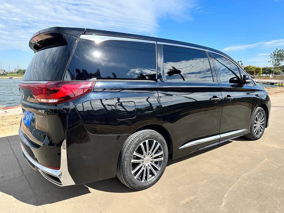 Trumpchi Trumpchi M8