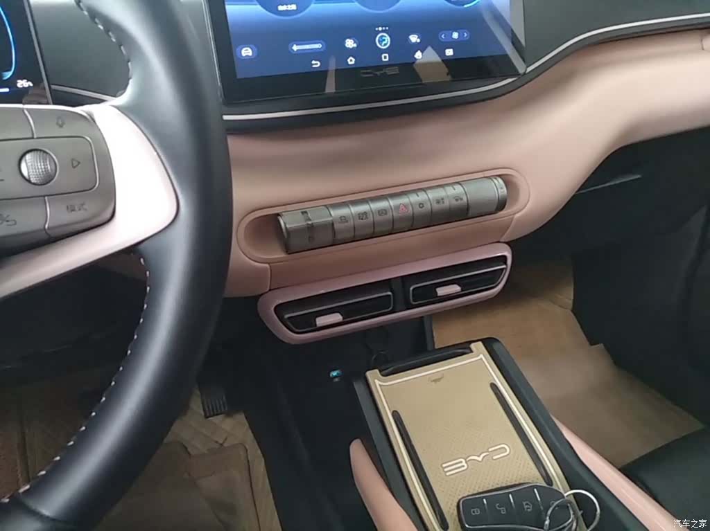 BYD Seagull, 2024 14