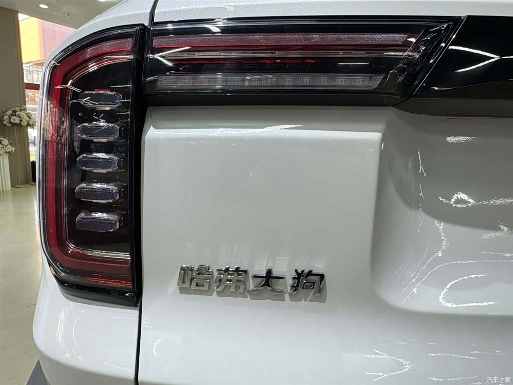 Haval Big Dog, 2022 8