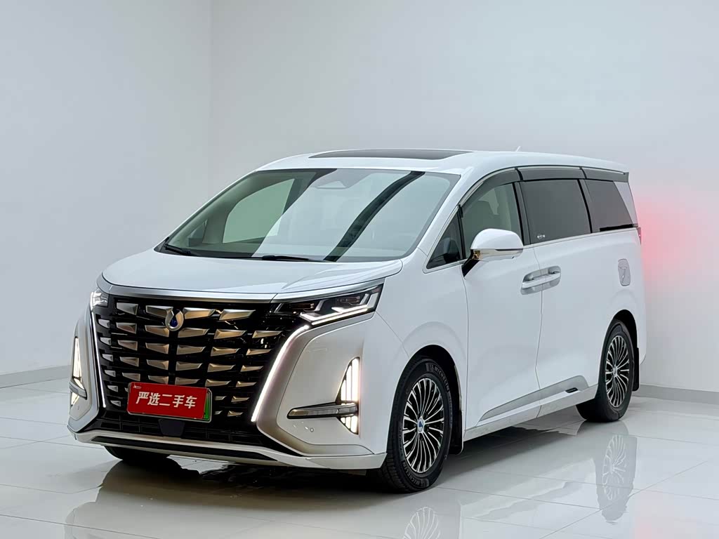 Denza D9