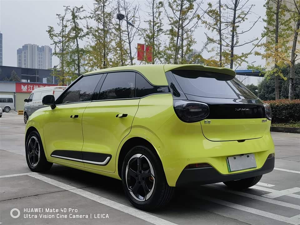 Dongfeng Nammi Nano 01