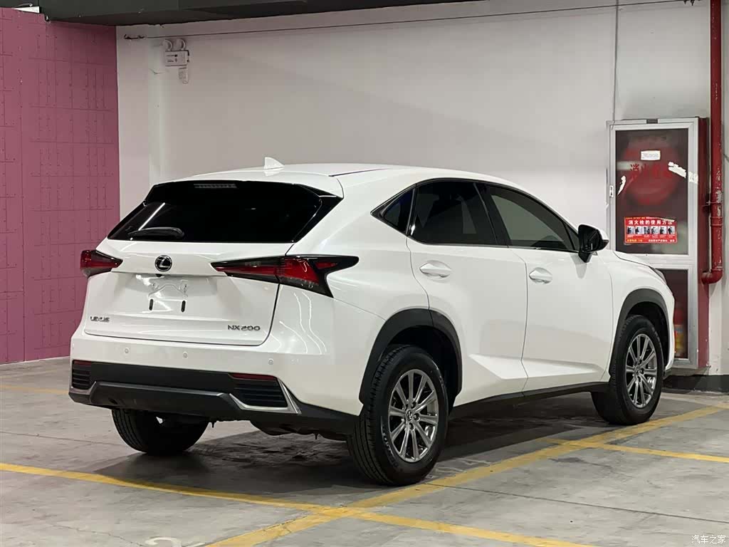 Lexus NX, 2019 все фото