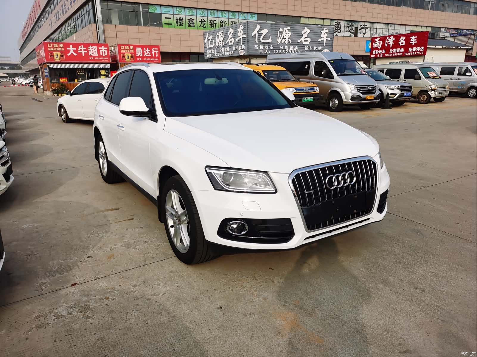 Audi Q5, 2017 все фото