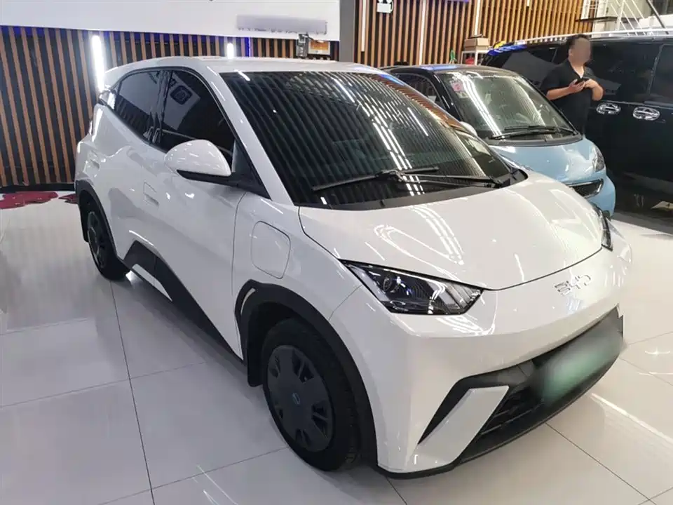 BYD Seagull