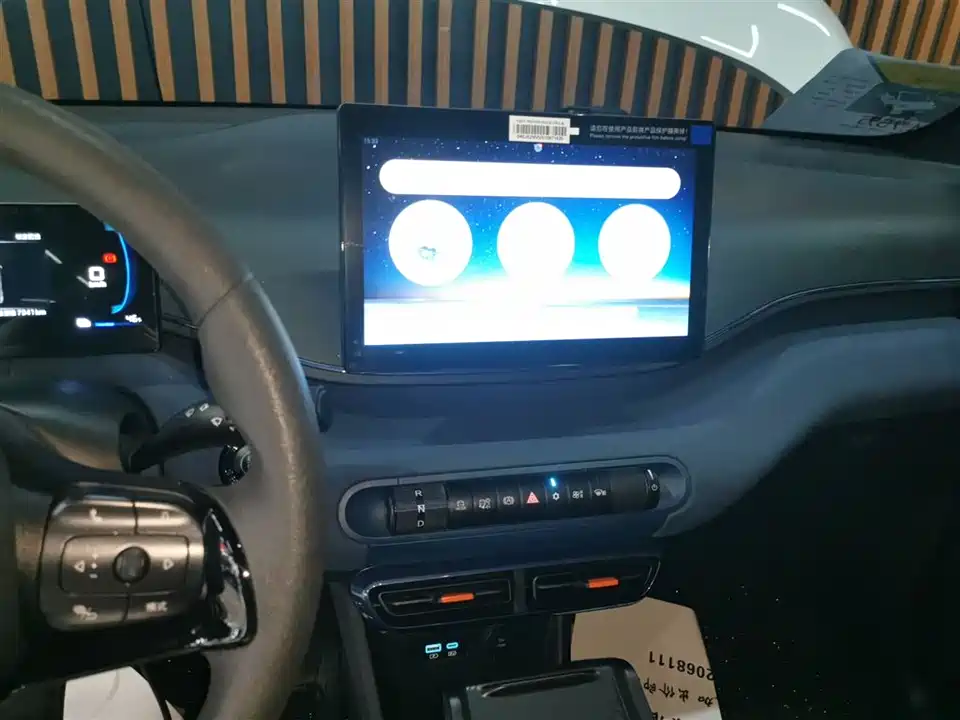 BYD Seagull