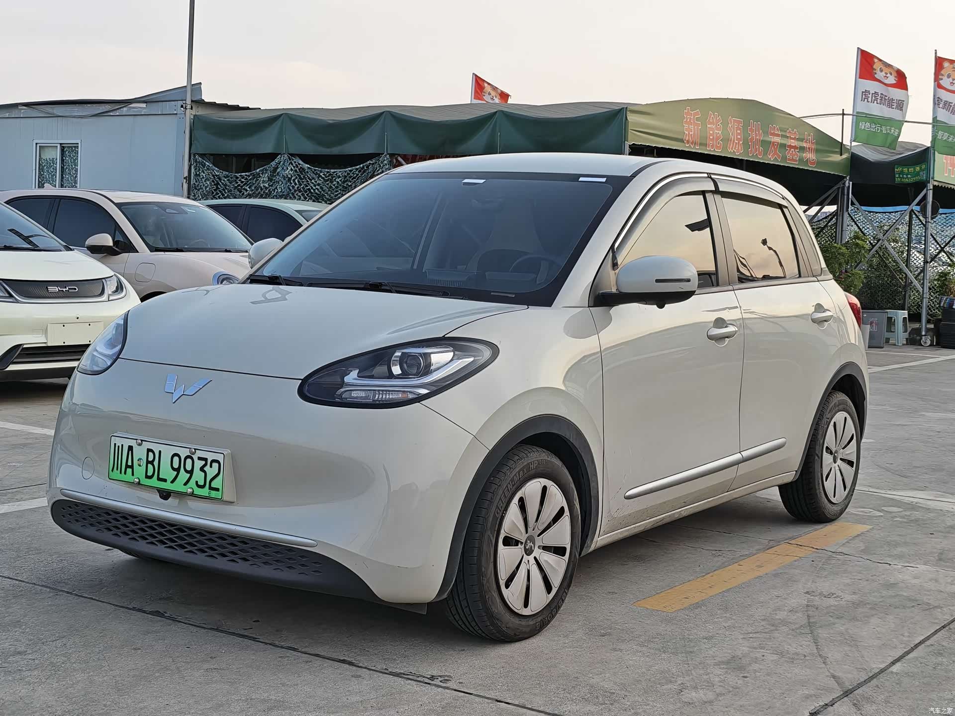 Wuling Bingo