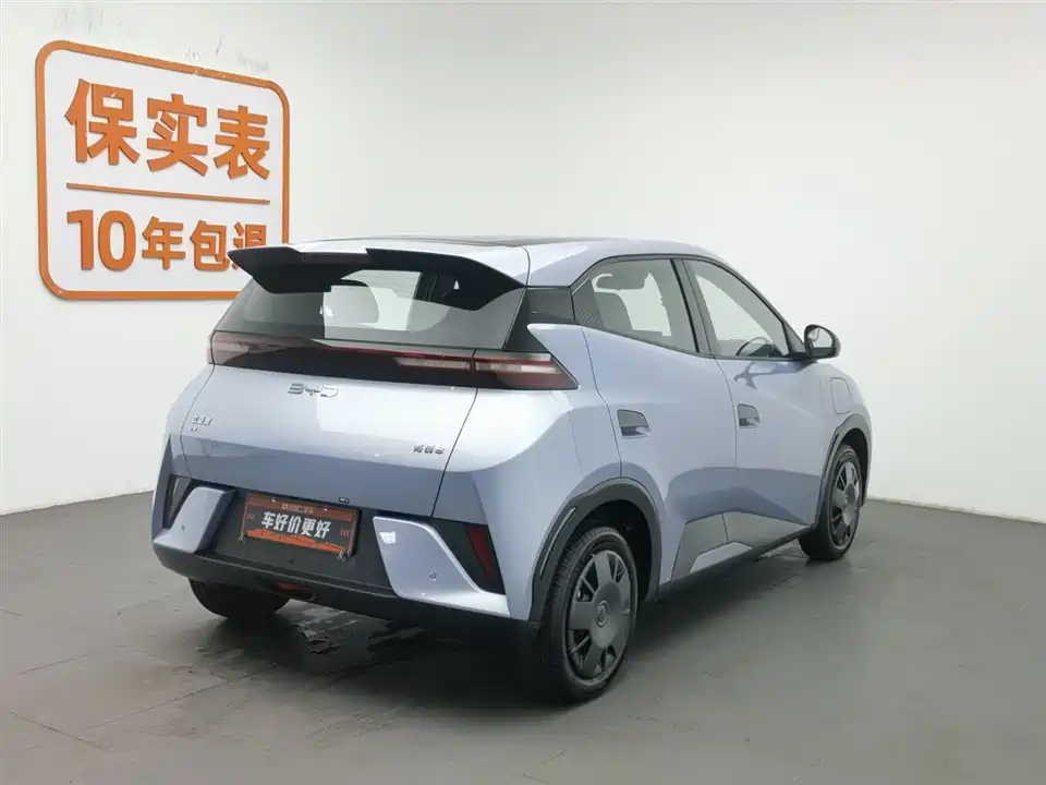 BYD Seagull