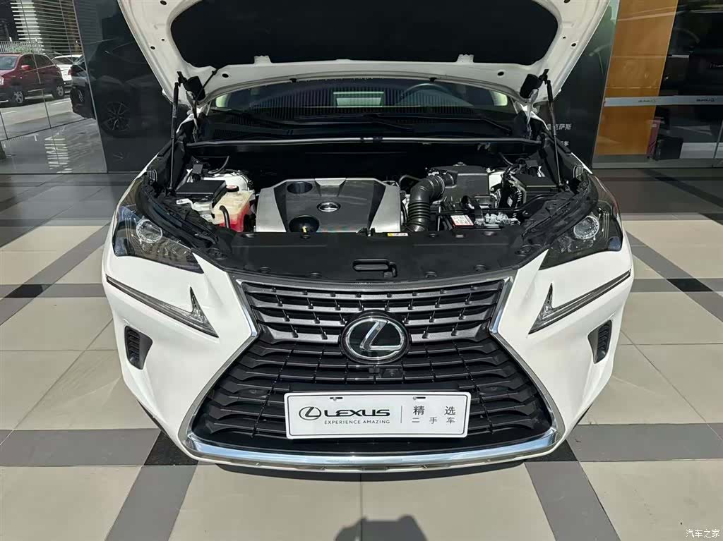 Lexus NX, 2019 3