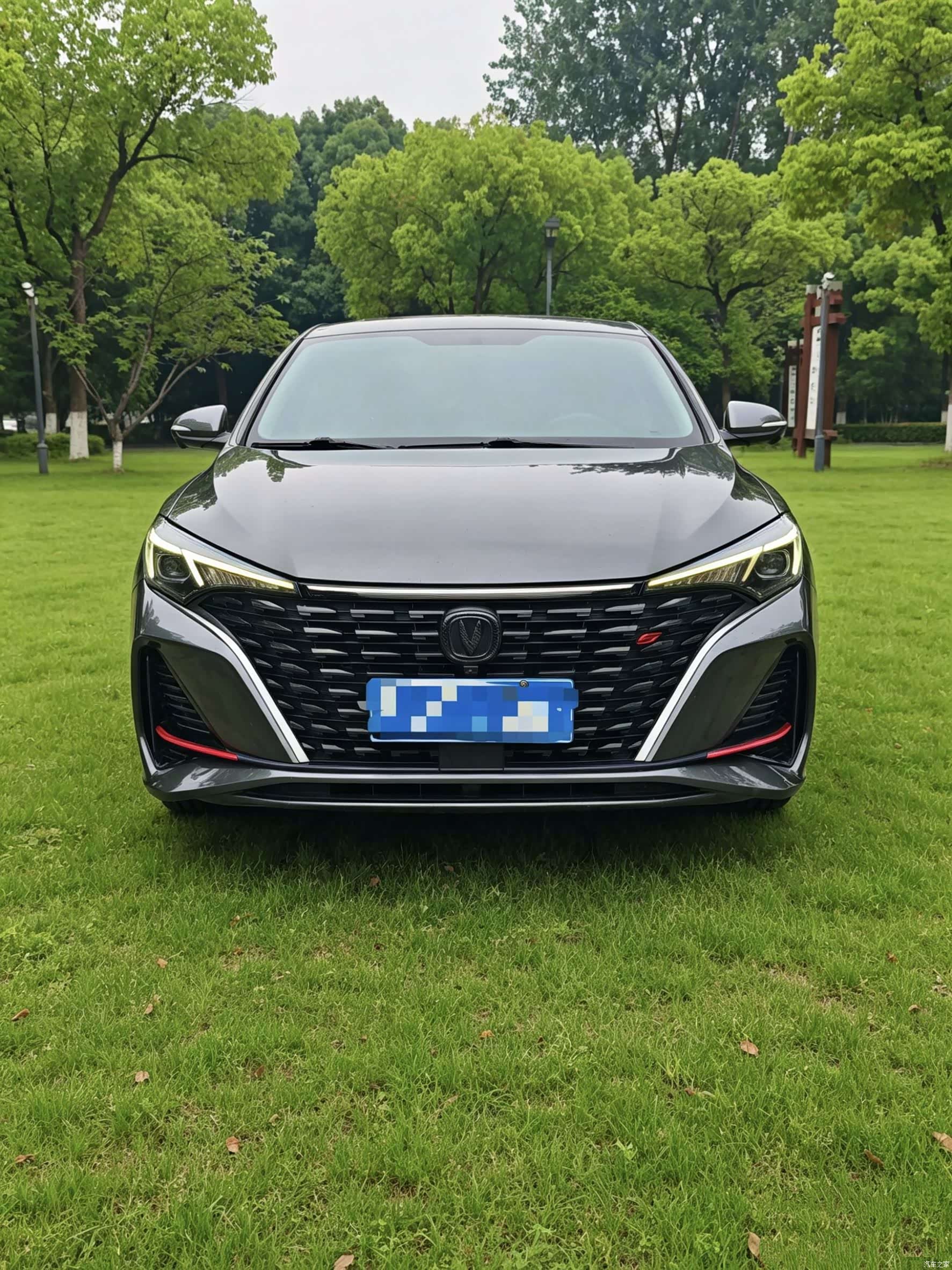 Changan Eado, 2023 2
