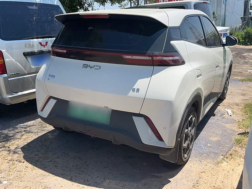 BYD Seagull