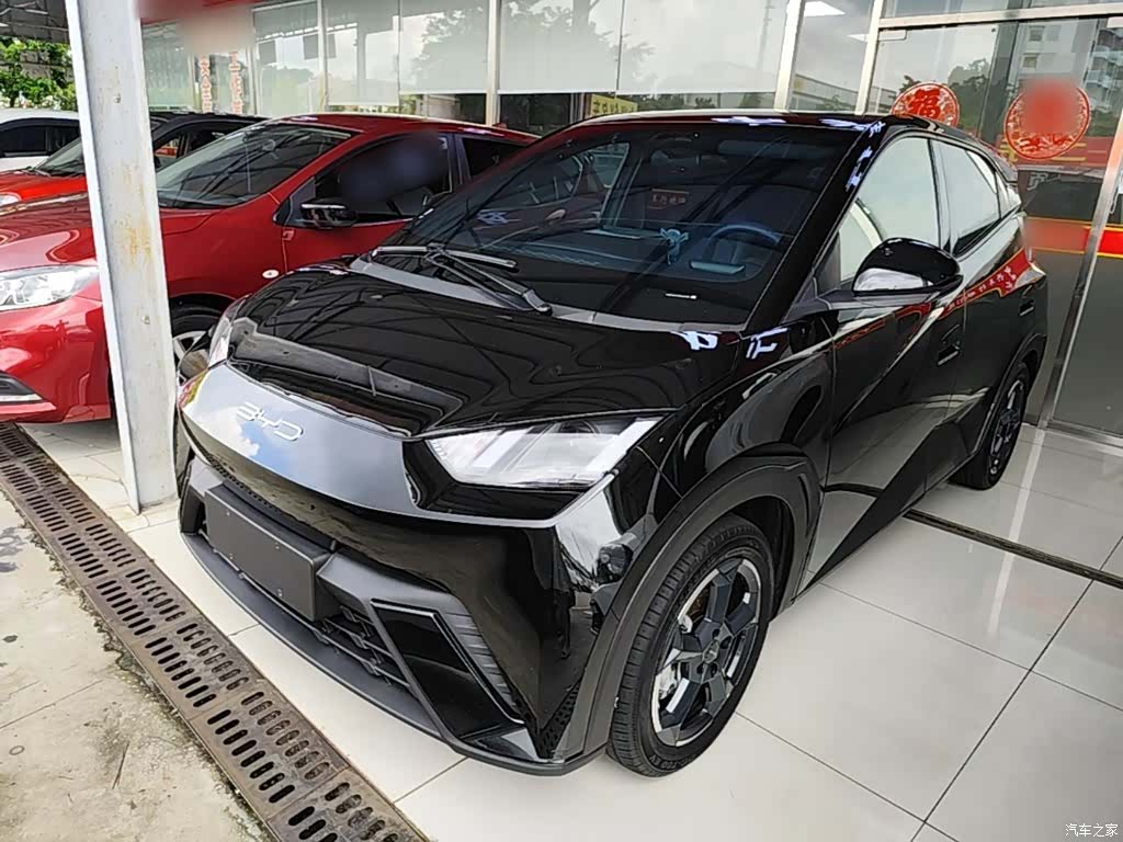 BYD Seagull, 2023 1
