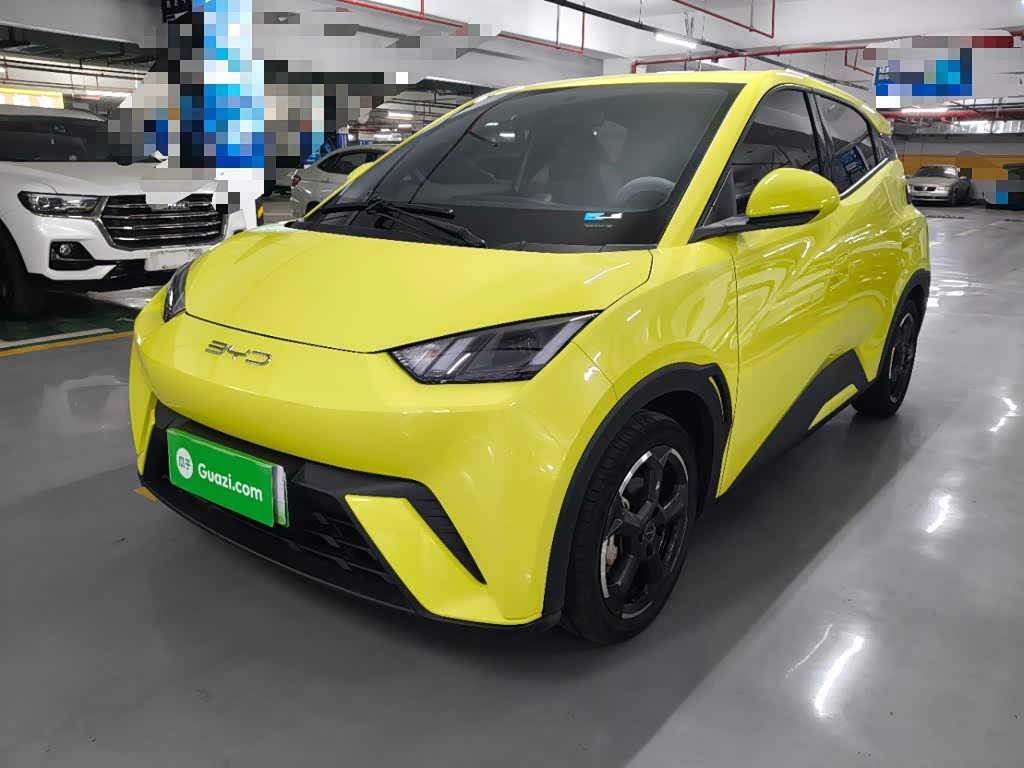 BYD Seagull