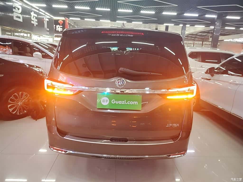 Buick GL8, 2021 6