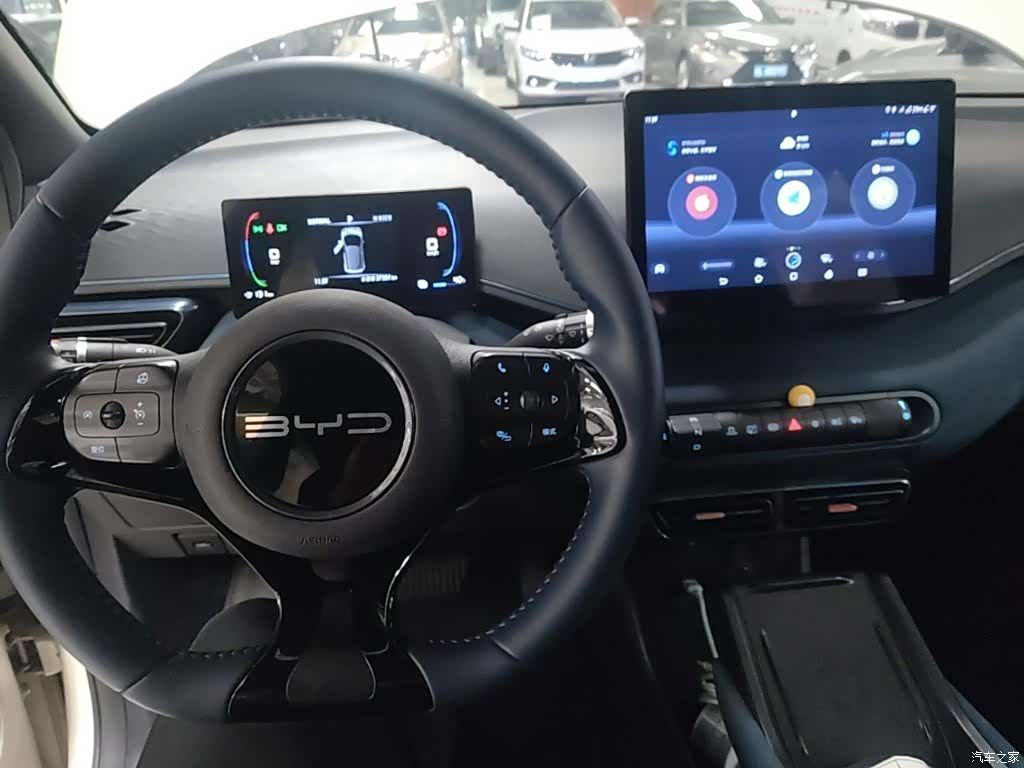 BYD Seagull, 2024 10