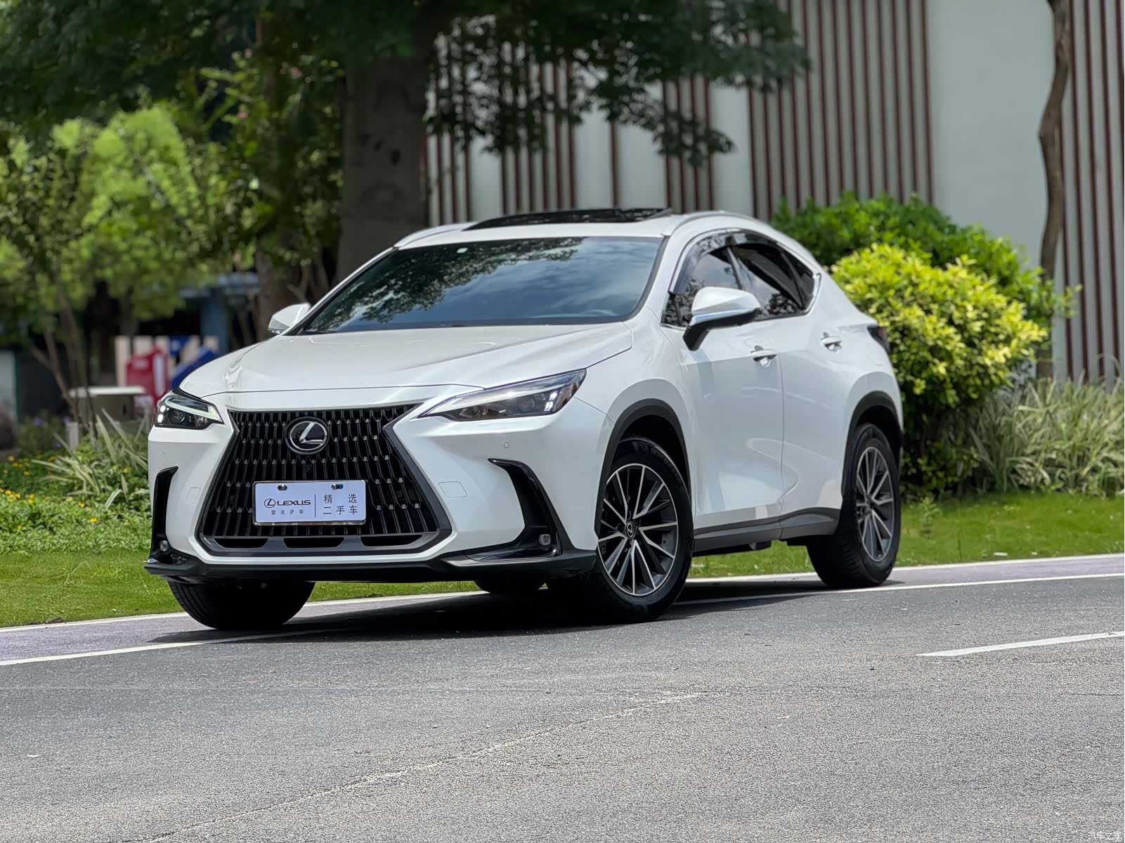 Lexus NX, 2023 1