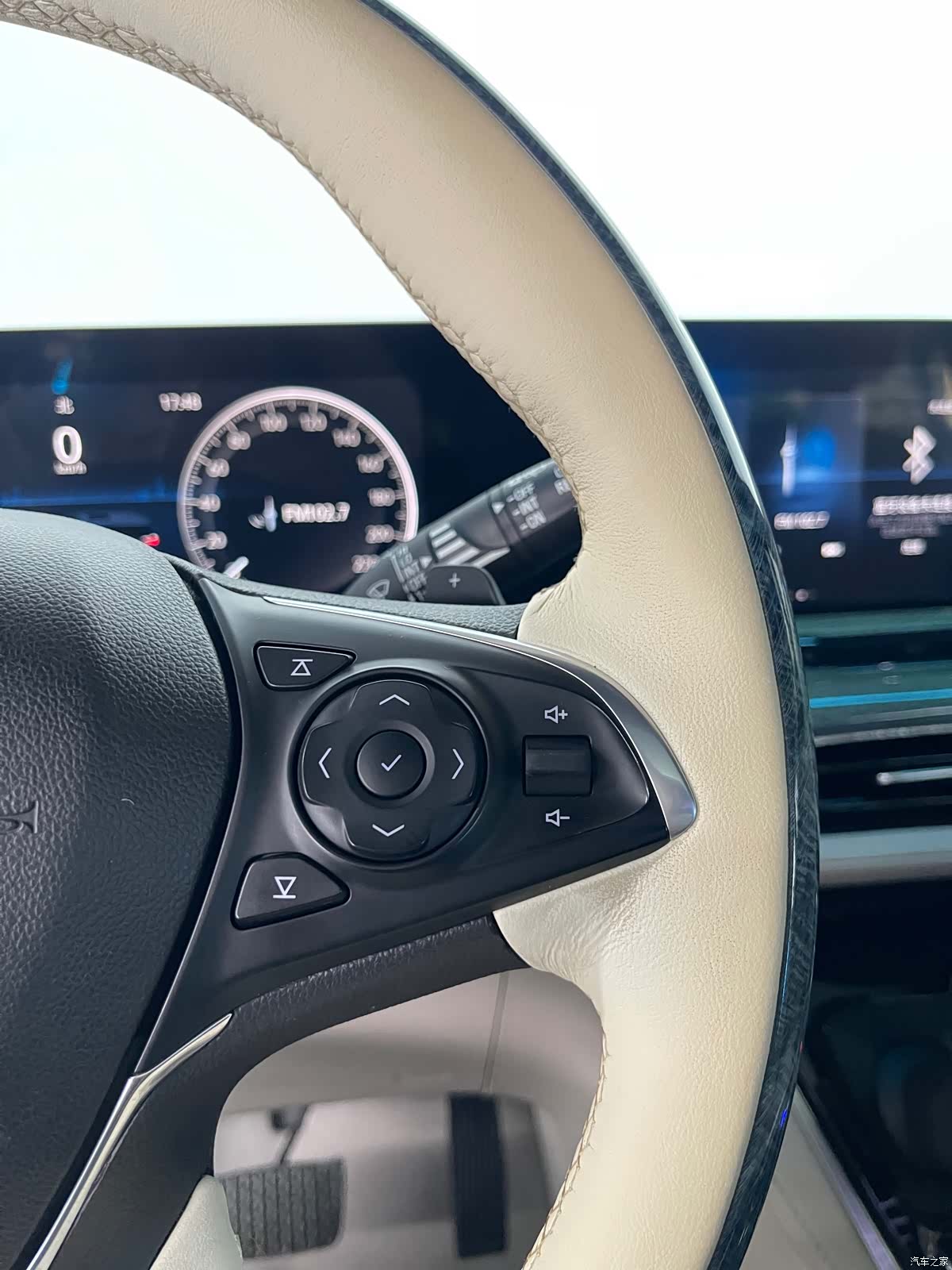Buick GL8, 2020 22