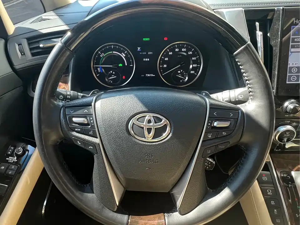 Toyota Elfa