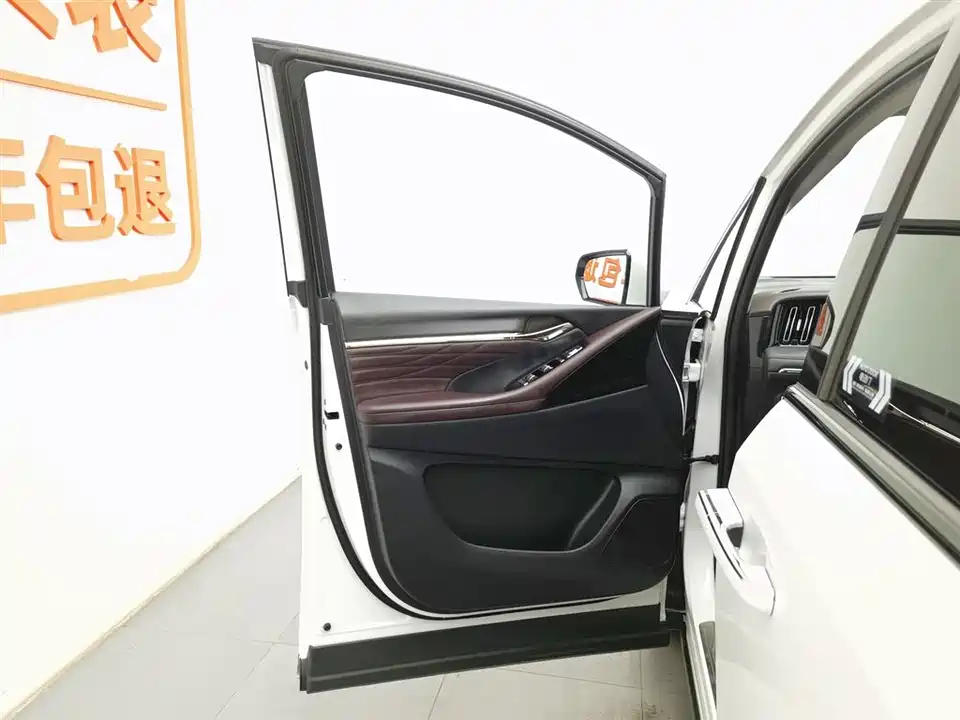 Trumpchi Trumpchi M8