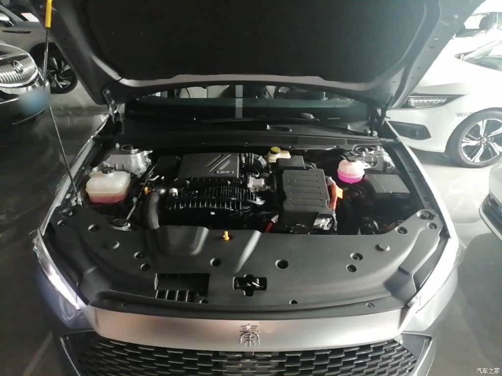 BYD Qin, 2024 20