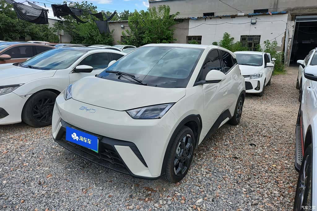 BYD Seagull, 2024 1