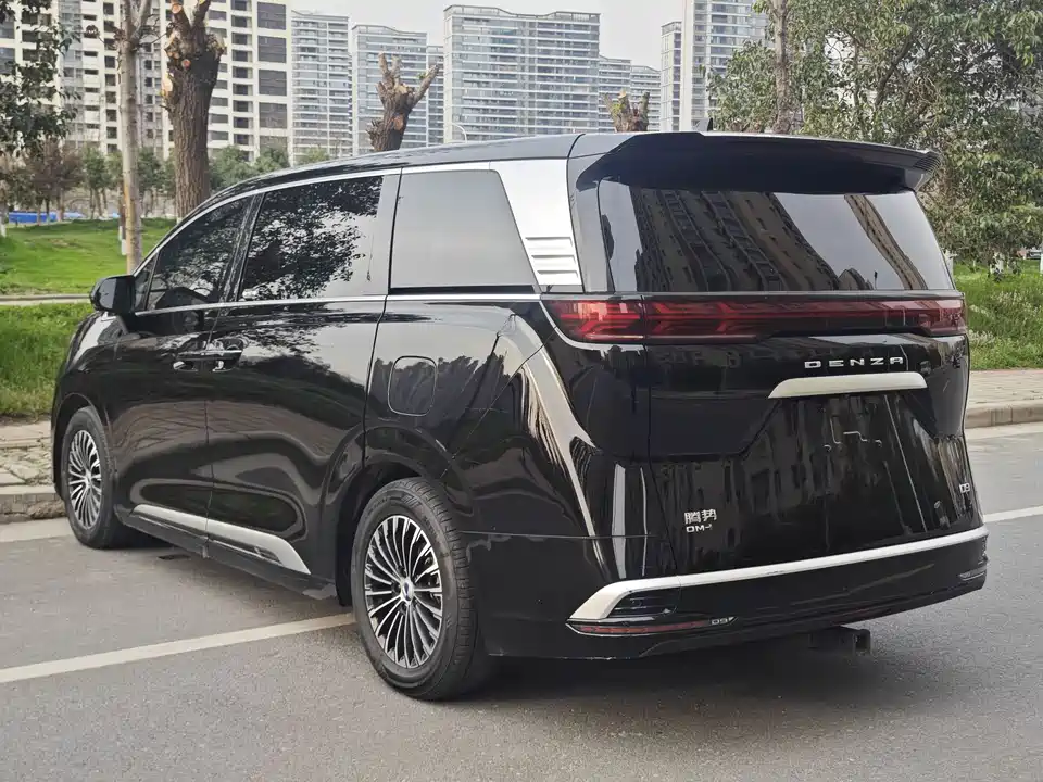 Denza D9
