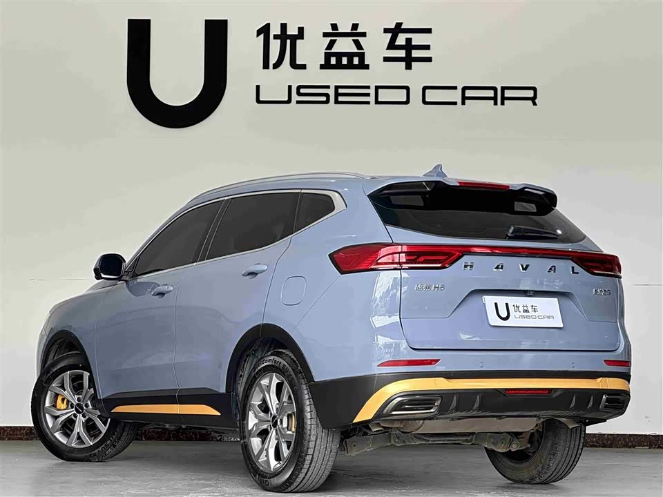 Haval H6