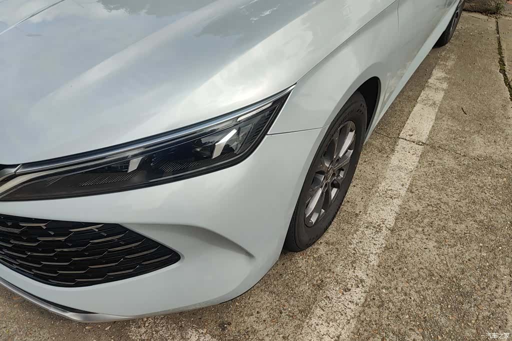 BYD Qin, 2024 все фото